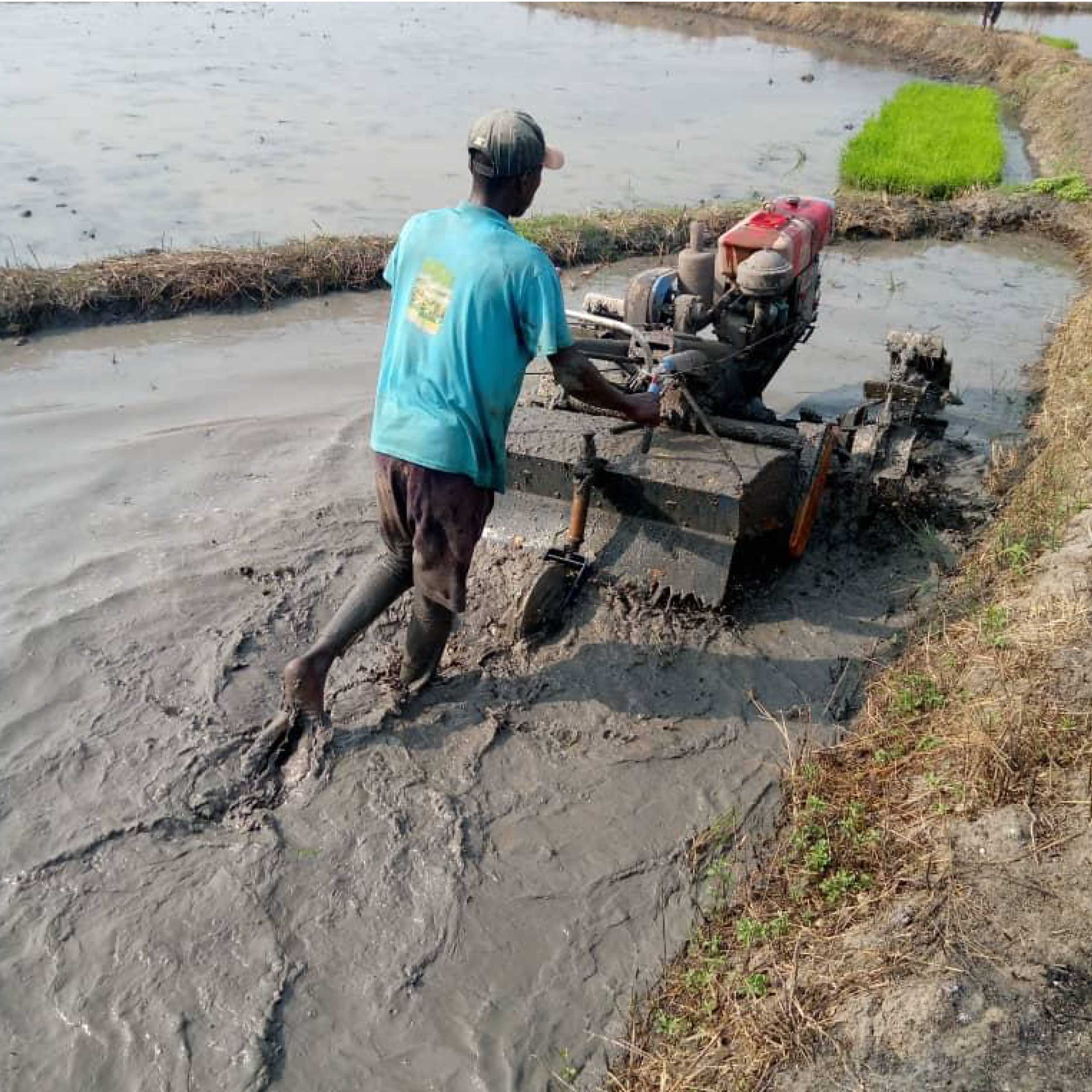 Traitement du sol - Mecanisation   Labour de bas fond avant Repiquage - 2023