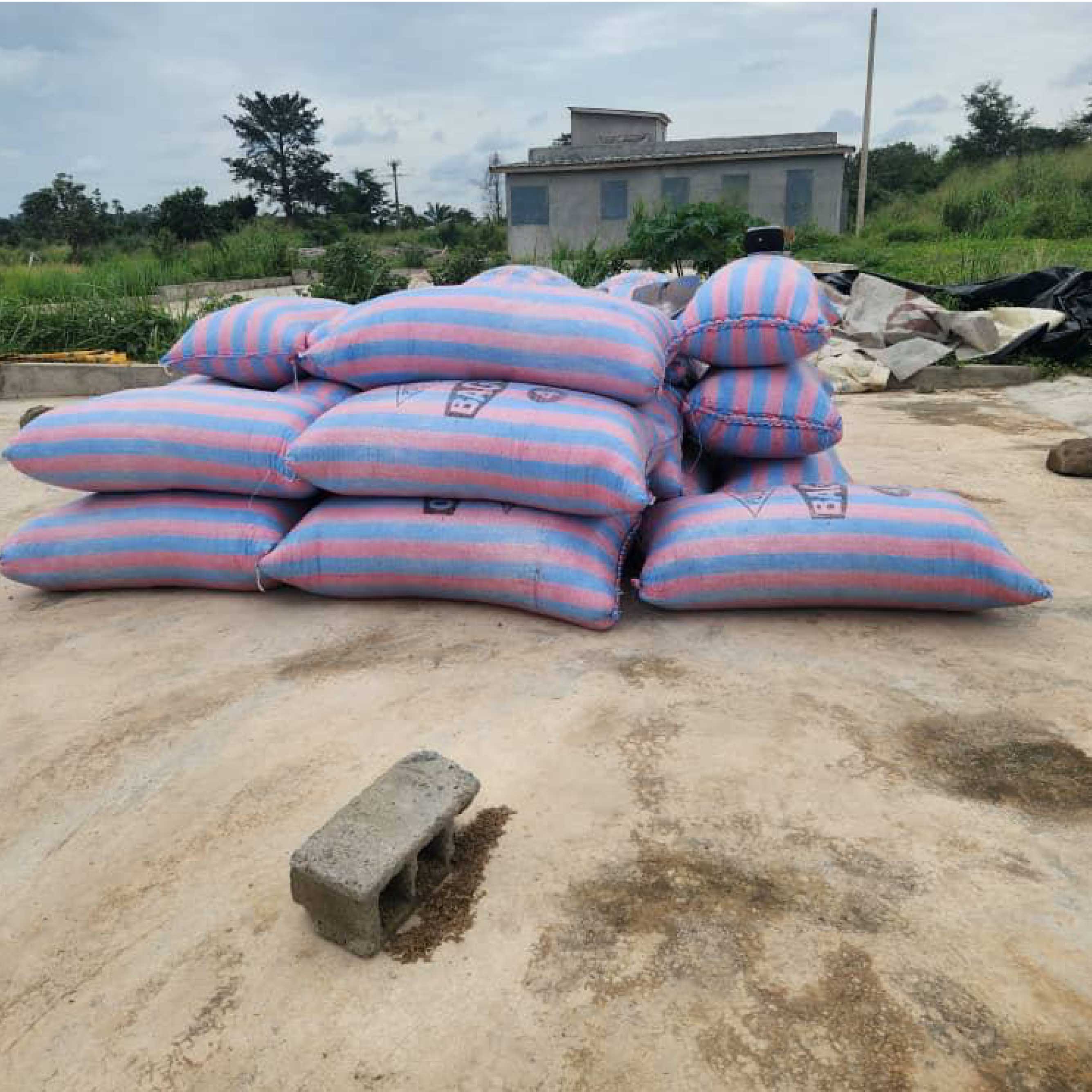 Mise en Sac du Riz Paddy ou non decortiqué 